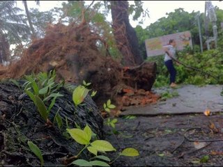 Thành phố Vinh sau bão số 2