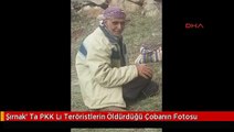Şırnak' Ta PKK Lı Teröristlerin Öldürdüğü Çobanın Fotosu
