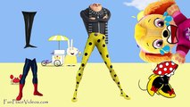 Wrong Legs Funny Minnie Mouse Despicable Me 3 Spiderman Ladybug Finger Family Nursery Song Kids Toy