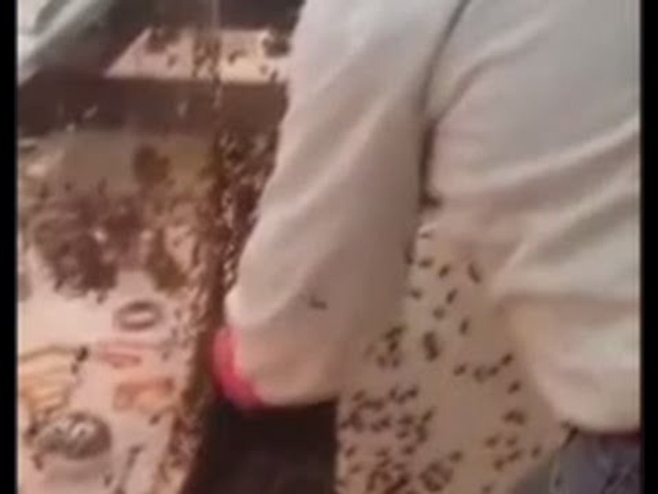 Swarming Bees: Angry insects attack jewelry shop in France
