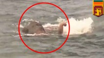 Gajah terdampar di tengah laut, diselamatkan Angkatan Laut Sri Lanka - Tomonews