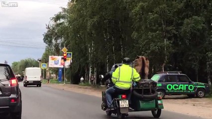 Un automobiliste filme une scène à peine croyable sur une route en Russie