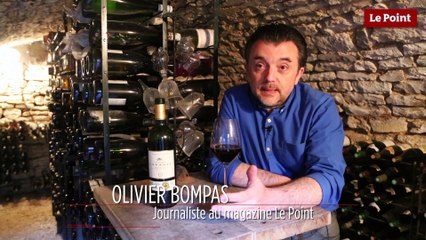 20 questions sur le vin : qu’est-ce que les tanins ?
