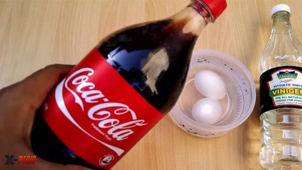 COCA COLA Vs EGG Vs vinegar – Awesome eggs fun life hacks and tricks