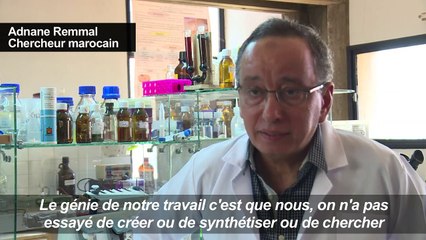 Au Maroc, des antibiotiques "dopés" aux huiles essentielles