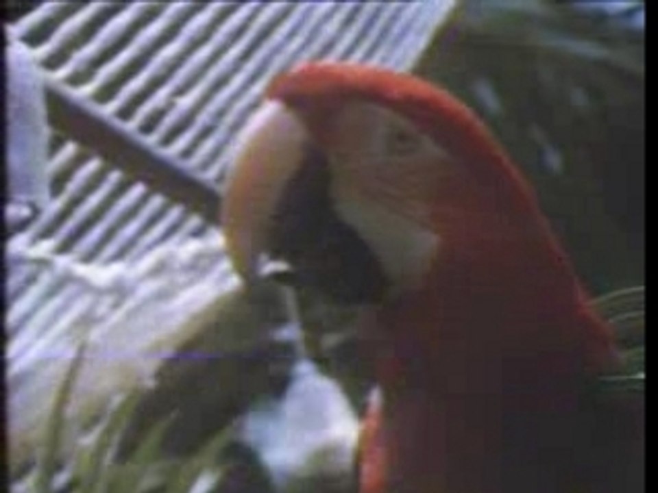 FR3 generique pub annee 84+page pub complete