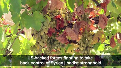 Raqa residents return to their homes