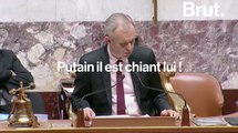 Les bizuts de l'Assemblée nationale