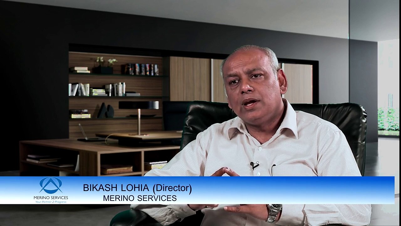 Merino Services - Business & IT Consultants