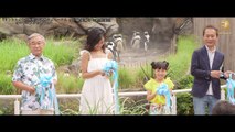 小島瑠璃子、新井美羽が夫婦円満のペンギンに「理想です」 世界初の『天空のペンギン』サンシャイン水族館
