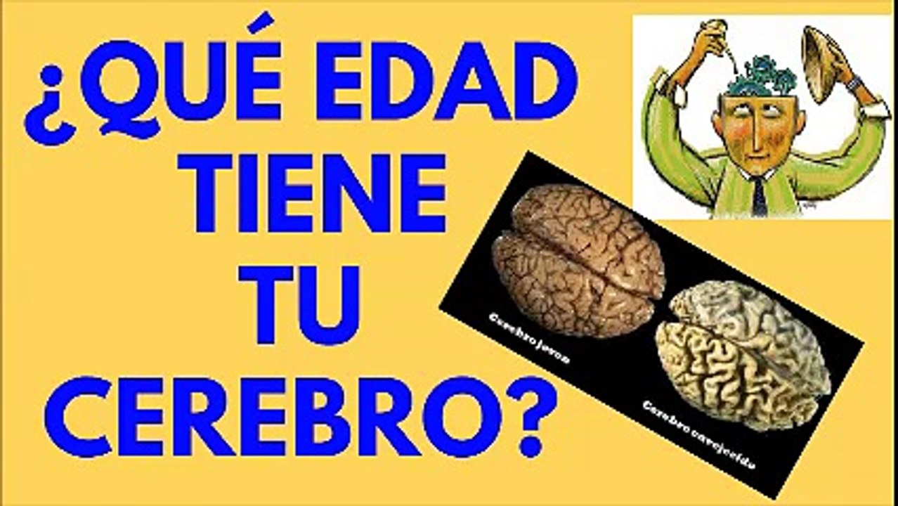 QUÉ EDAD TIENE TU CEREBRO