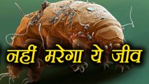 Water Creature never died, Know why । वनइंडिया हिंदी
