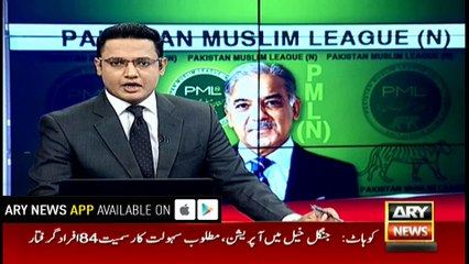 Shehbaz Sharif has different opinion than Nawaz, other leaders