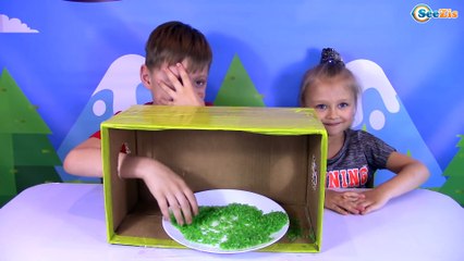 Челлендж Что в Коробке? Кто положил вонючие куриные ноги и Памперс | Challenge - What is in the Box?