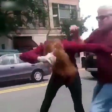 Un imbécile a essayé de tuer le chien d'un mec lors d'un road rage !!