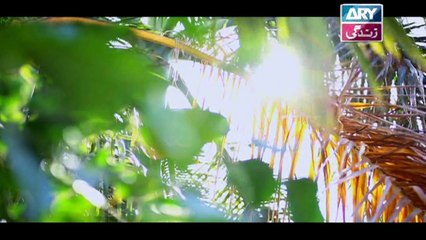 Mere Baba ki Ounchi Haveli Ep - 177- In High Quality On ARY Zindagi - 17th july 2017