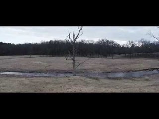 Cap Bailey - Dip-N-Brews (Official Video)