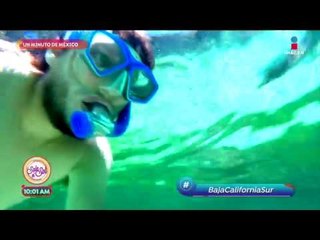 ¡Conoce la Playa de Balandra en Baja California Sur! | Sale el Sol