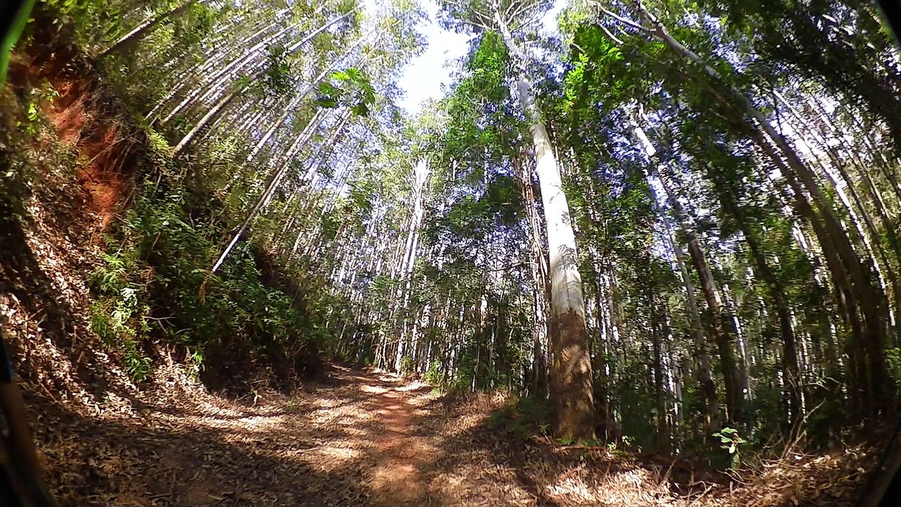 Teste, shimano, 180 graus, Shimano, CM-1000, Trilhas, Mtb. Btt, .vamos pedalar