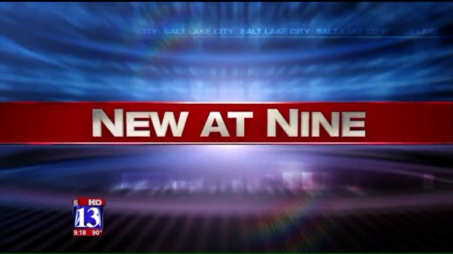 Baby Waiting to See Lions at Zoo Adorably Misses the Show