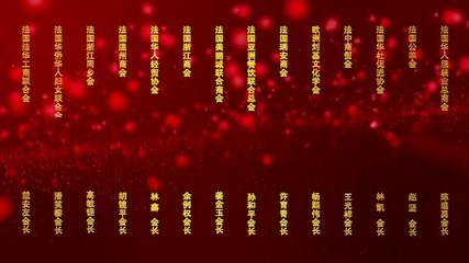 十四侨团联合祝贺法国福州十邑同乡会成立两周年 - Le groupe des 14 Associations félicite l'Association des Compatriotes de Fuzhou en France