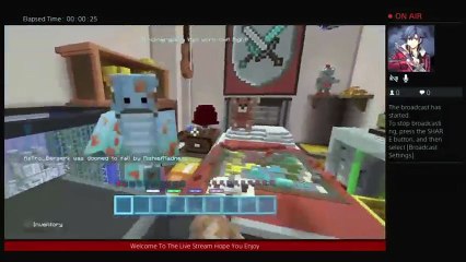 Minecraft Summer Mini Games (38)