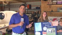 Fifth Grader's Science Project Inspires Her Dad to Turn Garage into Shrimp Farm