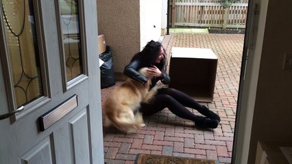 Dog Gets one Sweet Surprise