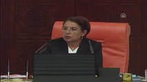 Olağanüstü Hal Uzatıldı - CHP Mersin Milletvekili Atıcı - Tbmm