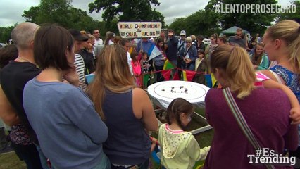 ¿Te aburre una partida de ajedrez? Tienes que ver una carrera de caracoles…