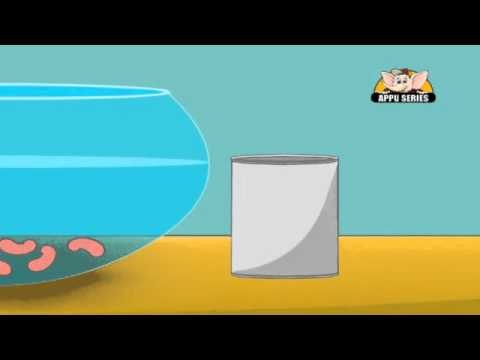 Learn About Plants - Grow Your Own Plant