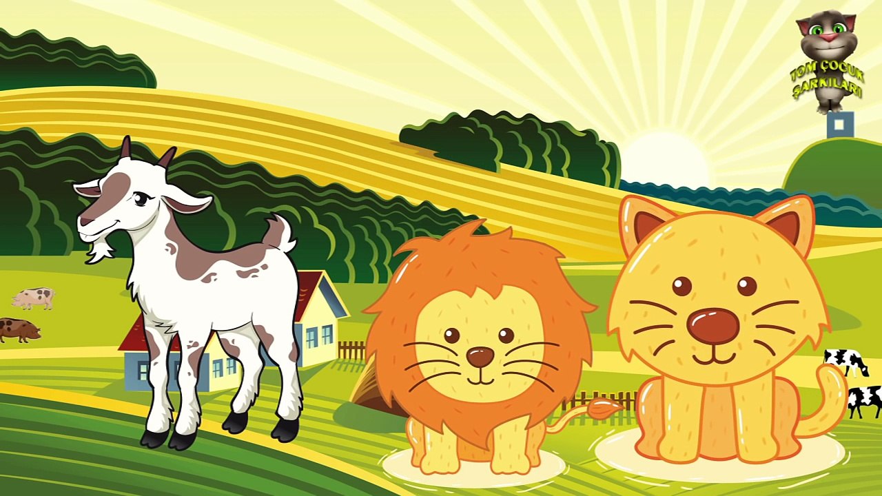 Hayvanları Öğreniyoruz  - Hayvan Sesleri - Çocuklar için Hayvanlar , Çizgi film izle 2017 & 2018