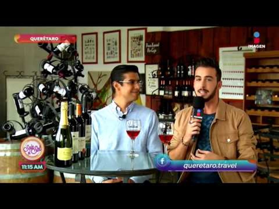 La Ruta del vino en Querétaro con Roberto Carlo | Sale el Sol