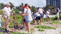 Bacardi Employees Team Up with Surfrider Foundation for Beach Dune Restoration | Bacardi Limited