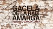 Gacela de la raíz amarga - Federico García Lorca
