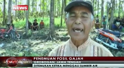 Petani Ini Temukan Fosil Gajah Purba