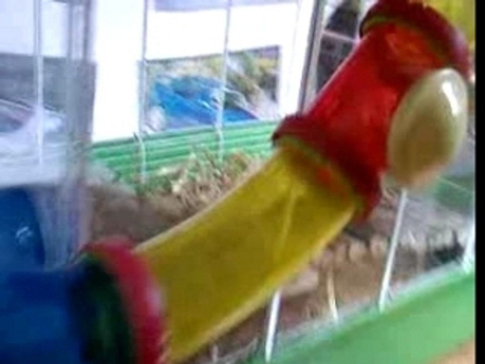 Le  palace à Zébulon