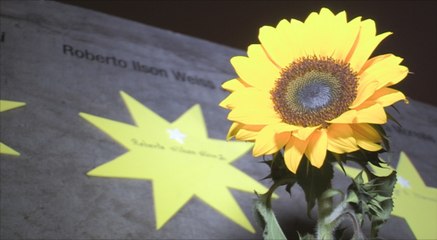 Se conmemoran 10 años de tragedia aérea en Sao Paulo, aún sin ninguna condena