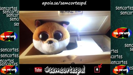 #NAO ABRA ESSA CAIXA NUNCA