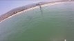 Juvenile Great White Shark Swims Below Paddle Boarders