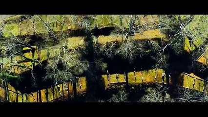 Kodak Black - Too Many Years (feat. PNB Rock)  Official Music Video (360p)