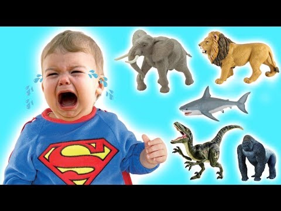 Bad Baby Tantrum Crying for Animals - Little Babies Learn Animals with Finger Family Song