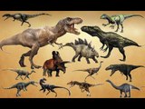 Jurassic Hunters Dinosaurs | Learn Dinosaurs Names and Sounds | Fun Toddler