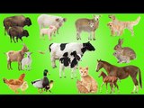 Farm Animals with Wrong Mom, Animals Farm Names and Sounds for Kids | Fun Toddler Learning