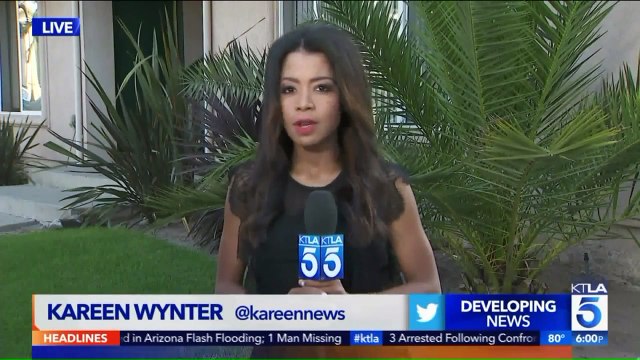 Police Captain, City Clerk Found Dead From Gunshot Wounds After Los Angeles Standoff, Police Said