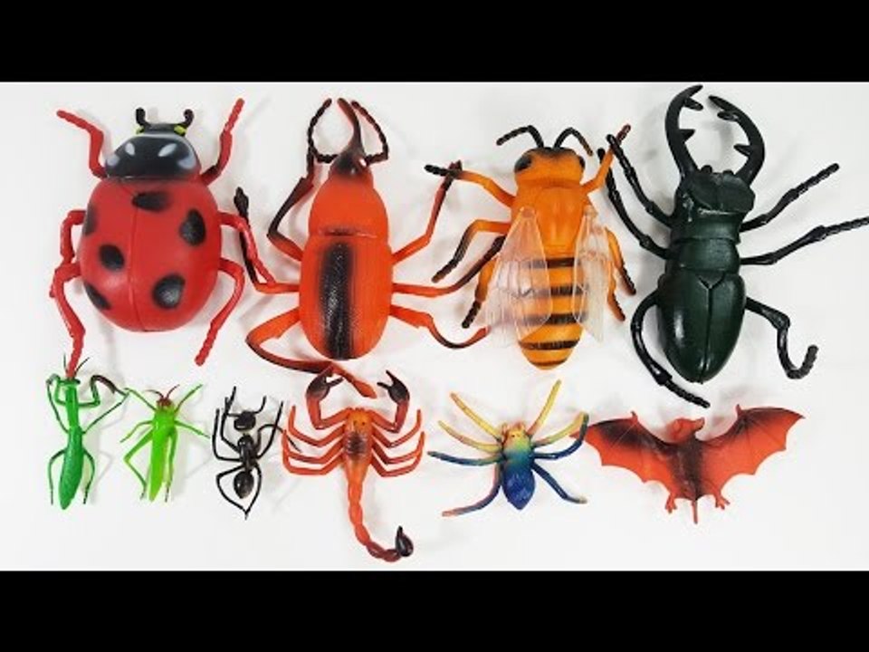 Insects Toys for Children | Toys to Real Life Insects Animals for Kids | Toddler Fun Learn Animal
