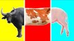 Wrong Body Head Farm Animals NEW | Nursery Rhymes Farm Animals | Learn Animals for Kids!