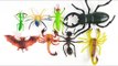Learn Insects Names for Children | Toys to Real Life Animal for Kids | Fun Toddler Learn Animals