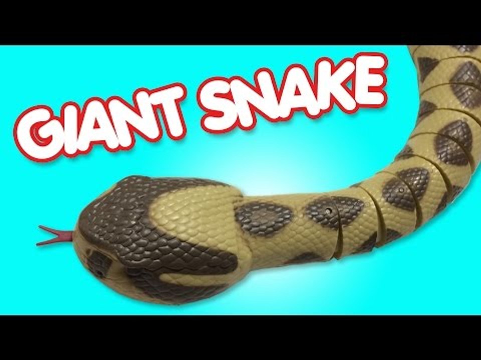 Snake Giant Creepy Toys | Snake Toys for Children | Fun Toddler Animals Toys for Kids