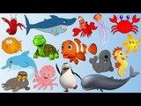 Learn Sea Animals Amazing | Sea Animals Names and sounds for Kids | Fun Toddler Learn Animal
